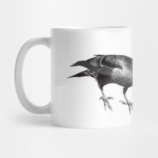 Crow and Squirrel Eating Peanuts Mug